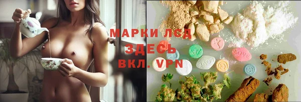 гидра Алзамай