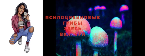 гидра Алзамай