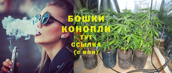 spice Алексин
