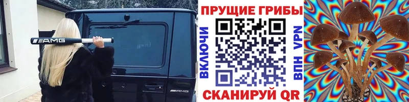 Галлюциногенные грибы GOLDEN TEACHER  Гвардейск 